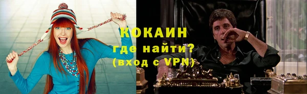 шишки Волоколамск