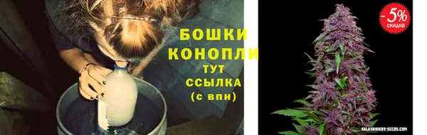 шишки Волоколамск