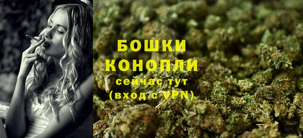 шишки Волоколамск