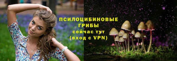 шишки Волоколамск