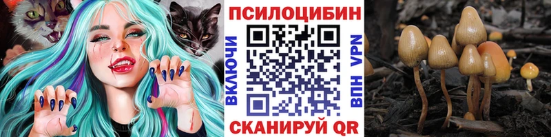 Купить  Чехов  Галлюциногенные грибы Magic Shrooms 